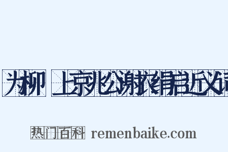 为柳珪上京兆公谢衣绢启近义词是什么意思的图片